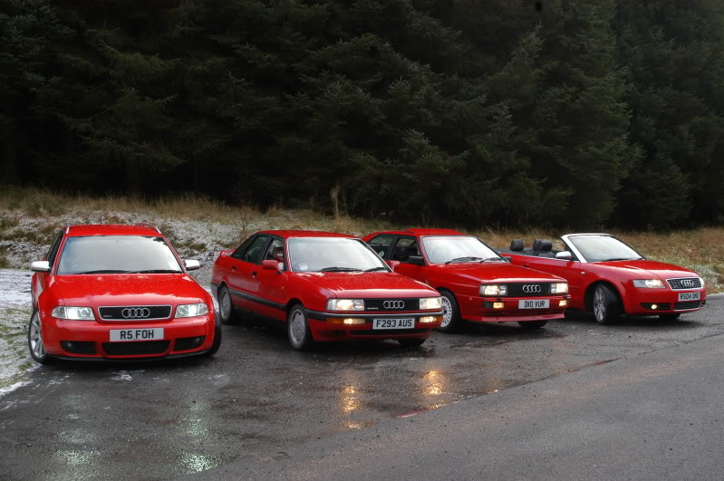 Name:  DSC_0282.jpg
Views: 126
Size:  115.1 KB