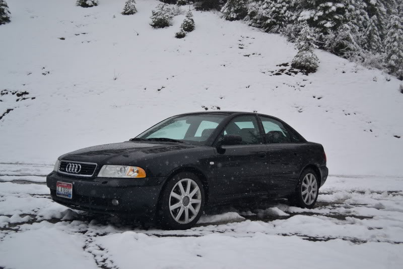 Name:  DSC_1981.jpg
Views: 23
Size:  73.2 KB