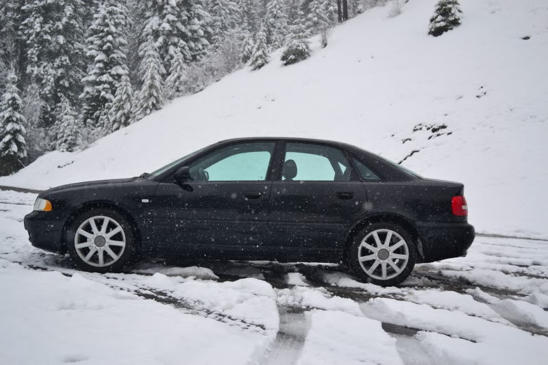 Name:  DSC_1983.jpg
Views: 23
Size:  85.3 KB