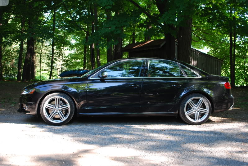 Name:  DSC_0839.jpg
Views: 336
Size:  136.3 KB