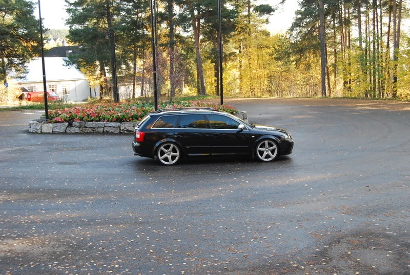 Name:  DSC_0027-2.jpg
Views: 885
Size:  175.3 KB