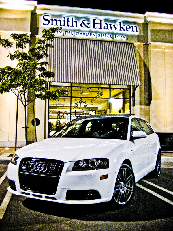 Name:  149_4931-1.jpg
Views: 20
Size:  181.0 KB