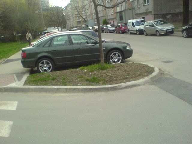 Name:  DSC04236.jpg
Views: 22
Size:  37.0 KB