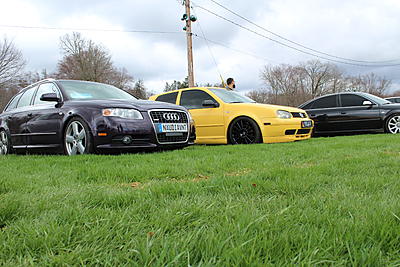 Purple Avant-backgroun-pic.jpg