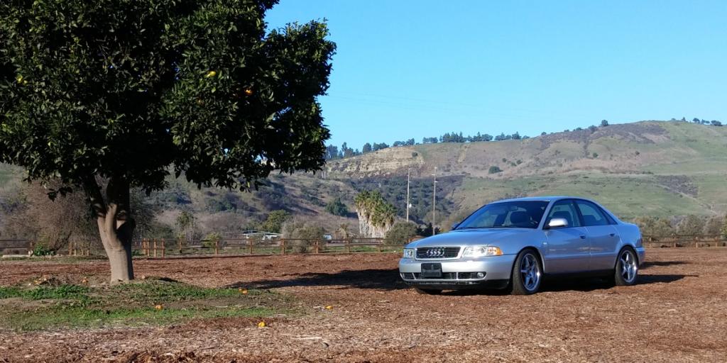 Name:  0103150832a_zpse77e5aac.jpg
Views: 728
Size:  102.5 KB