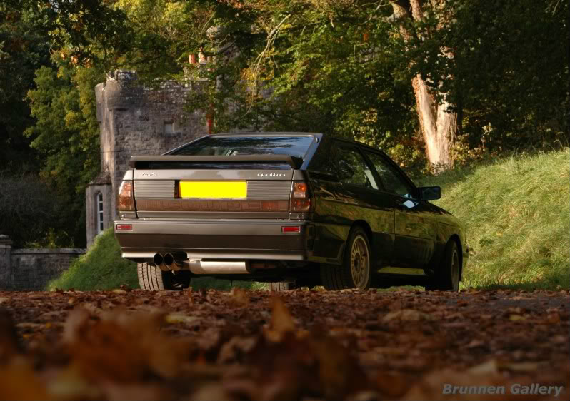 Name:  DSC_0030mod.jpg
Views: 72
Size:  108.8 KB