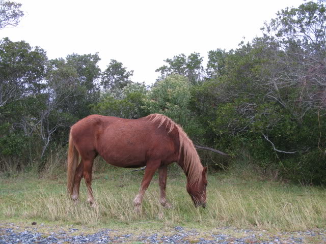 Name:  IMG_1698.jpg
Views: 19
Size:  96.1 KB