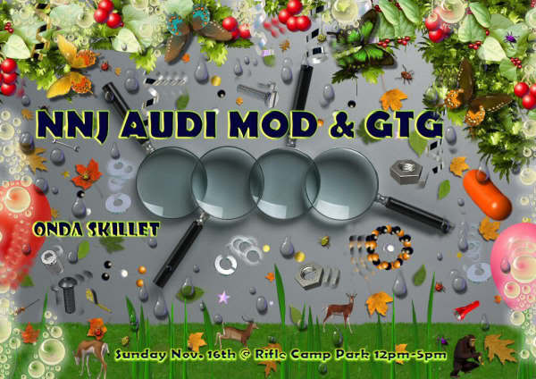 Name:  audi1blanc1234nov16th.jpg
Views: 32
Size:  53.6 KB