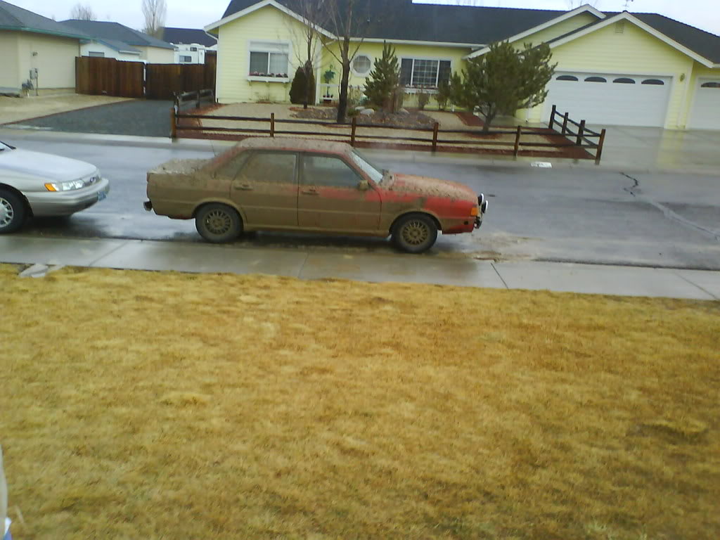 Name:  DSC01181.jpg
Views: 212
Size:  103.7 KB