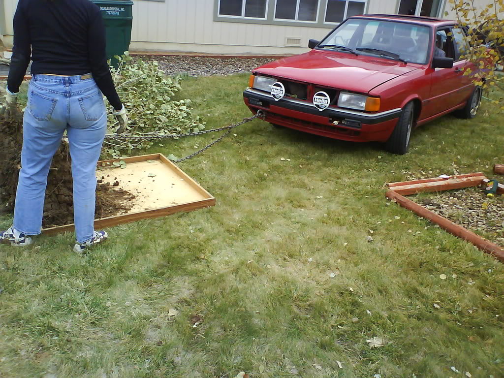 Name: DSC00949.jpg
Views: 144
Size: 214.2 KB