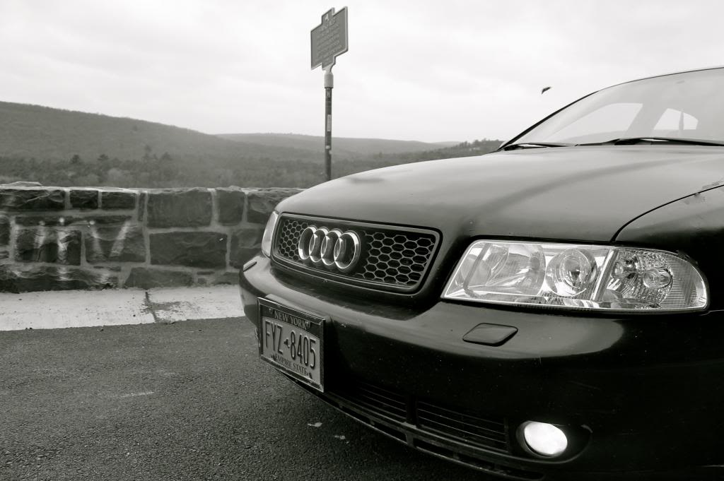 Name:  ShelbyHawksNest3_zpse2c681ad.jpg
Views: 37
Size:  77.9 KB