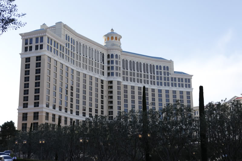 Name:  _MG_0596.jpg
Views: 29
Size:  83.7 KB