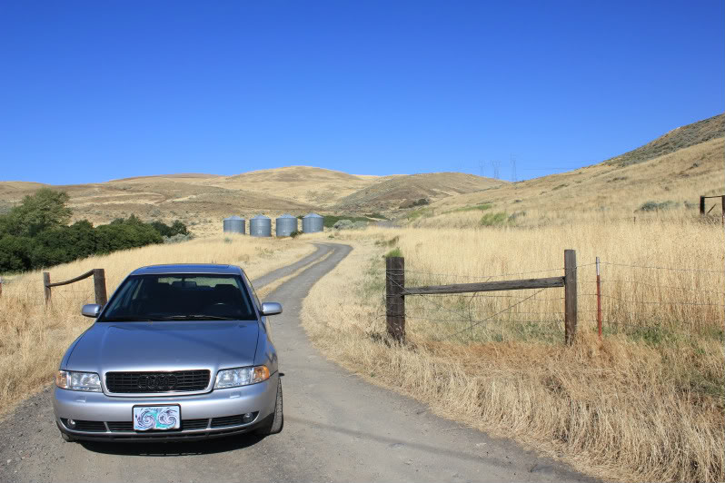 Name:  IMG_3105.jpg
Views: 25
Size:  97.4 KB