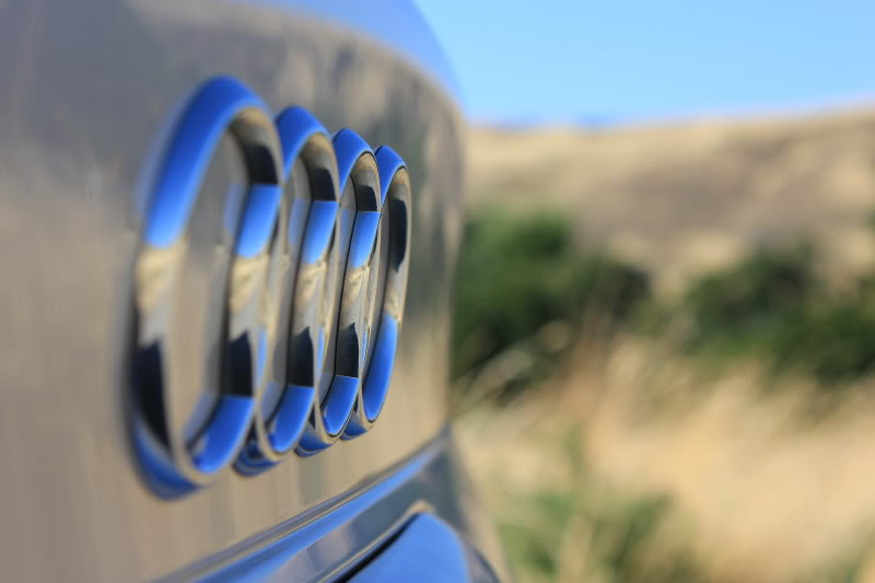 Name:  IMG_3113.jpg
Views: 22
Size:  34.4 KB