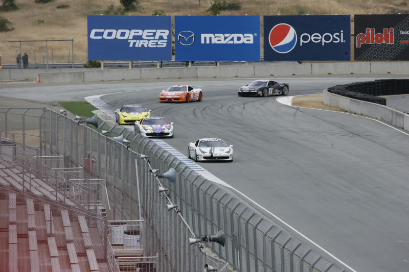 Name:  _MG_7645.jpg
Views: 16
Size:  85.2 KB