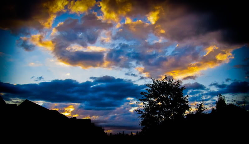 Name:  IMG_0350.jpg
Views: 28
Size:  58.3 KB