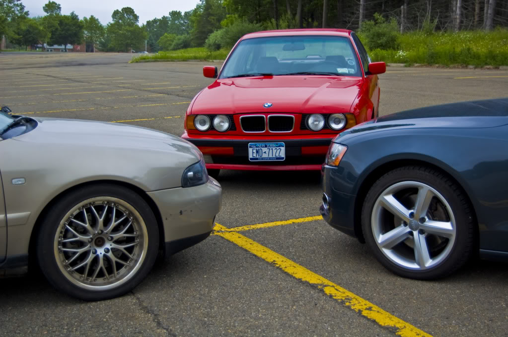 Name:  DSC_0155.jpg
Views: 39
Size:  135.1 KB