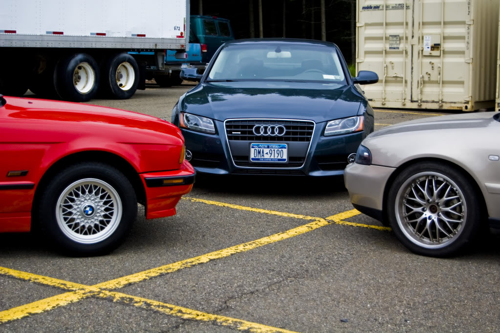 Name:  DSC_0156.jpg
Views: 38
Size:  173.8 KB