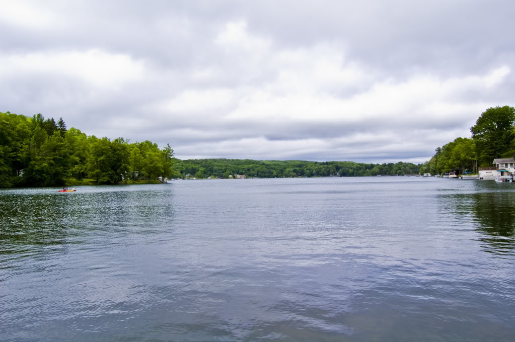 Name:  DSC_0092.jpg
Views: 38
Size:  111.5 KB