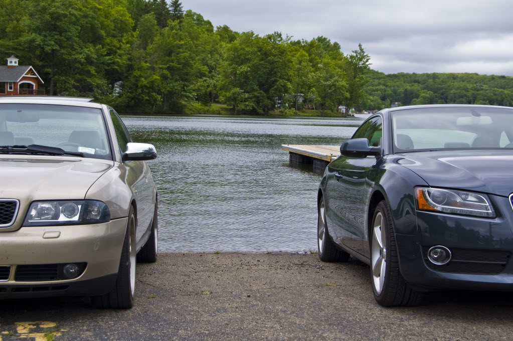 Name:  DSC_0096.jpg
Views: 39
Size:  165.3 KB