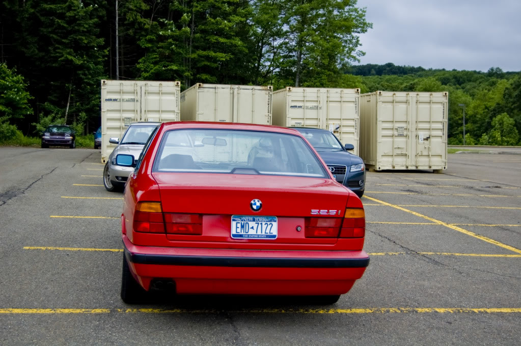 Name:  DSC_0129.jpg
Views: 40
Size:  175.5 KB