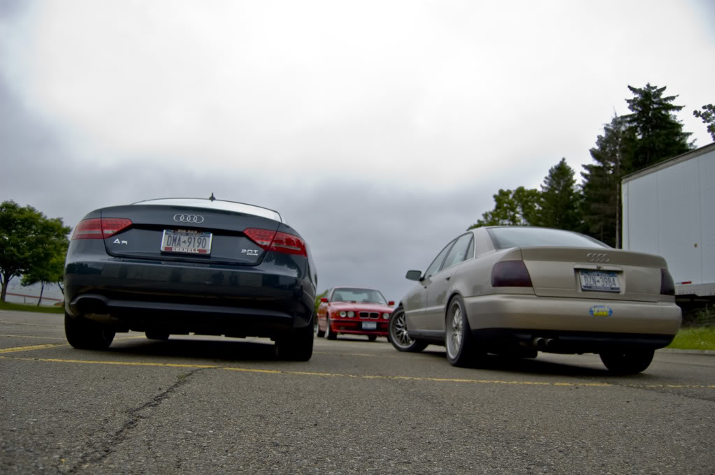 Name:  DSC_0131.jpg
Views: 38
Size:  95.2 KB