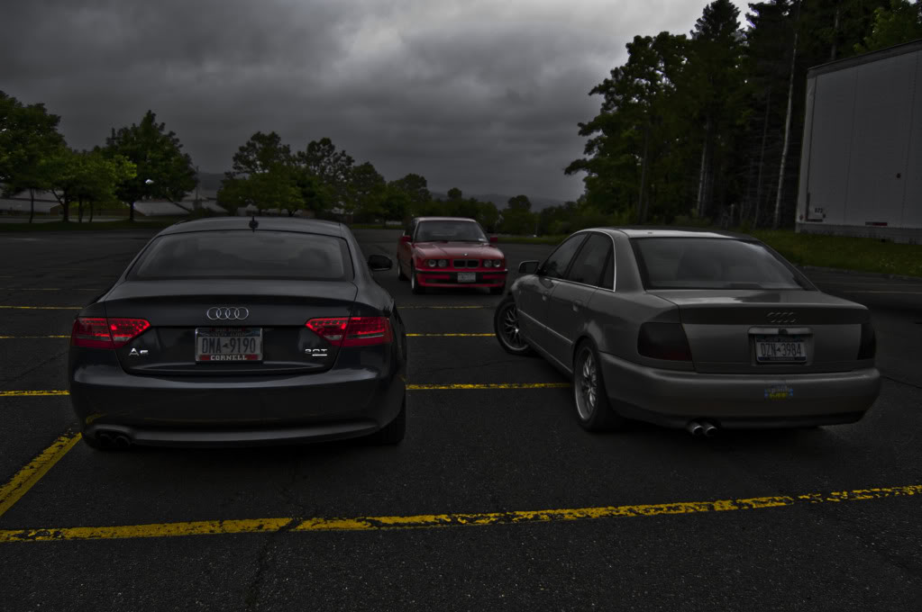 Name:  DSC_0132.jpg
Views: 37
Size:  83.1 KB