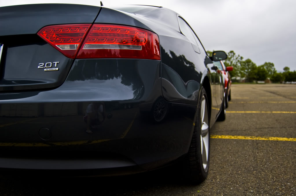 Name:  DSC_0135.jpg
Views: 39
Size:  85.7 KB