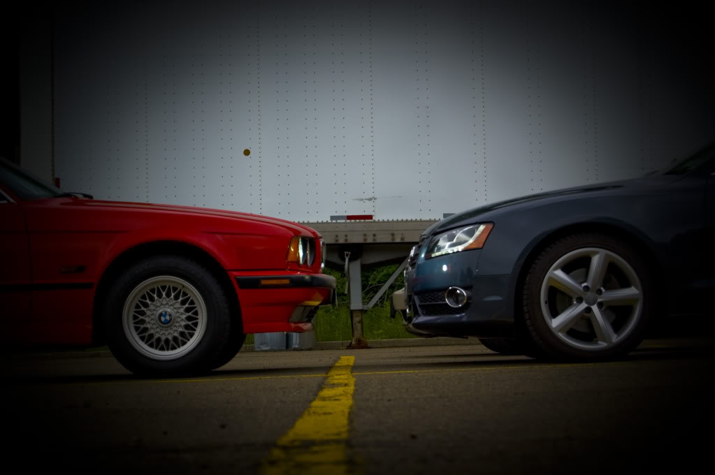 Name:  DSC_0138.jpg
Views: 39
Size:  58.2 KB