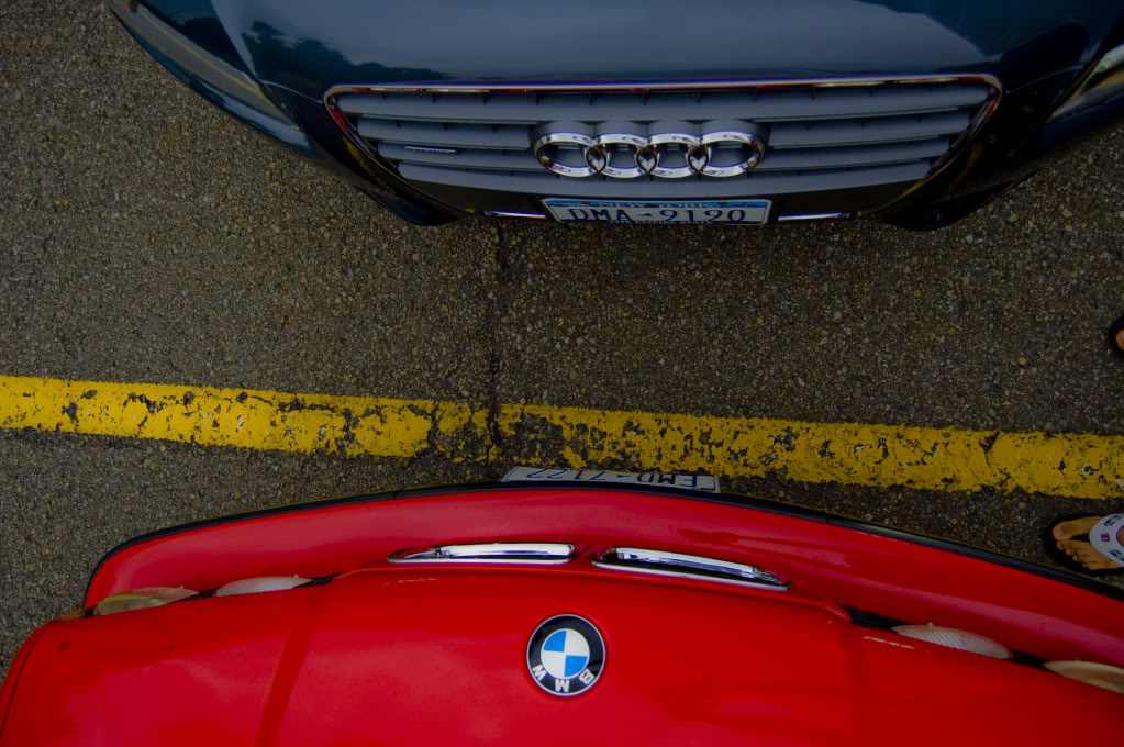 Name:  DSC_0140.jpg
Views: 35
Size:  170.3 KB