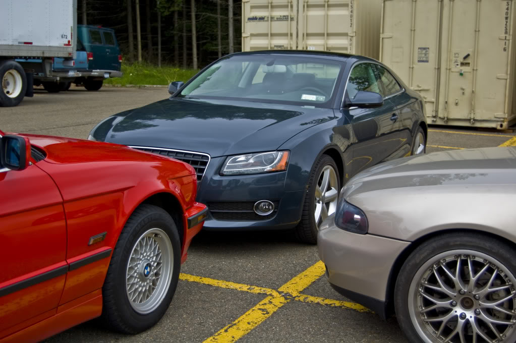 Name:  DSC_0143.jpg
Views: 36
Size:  126.7 KB