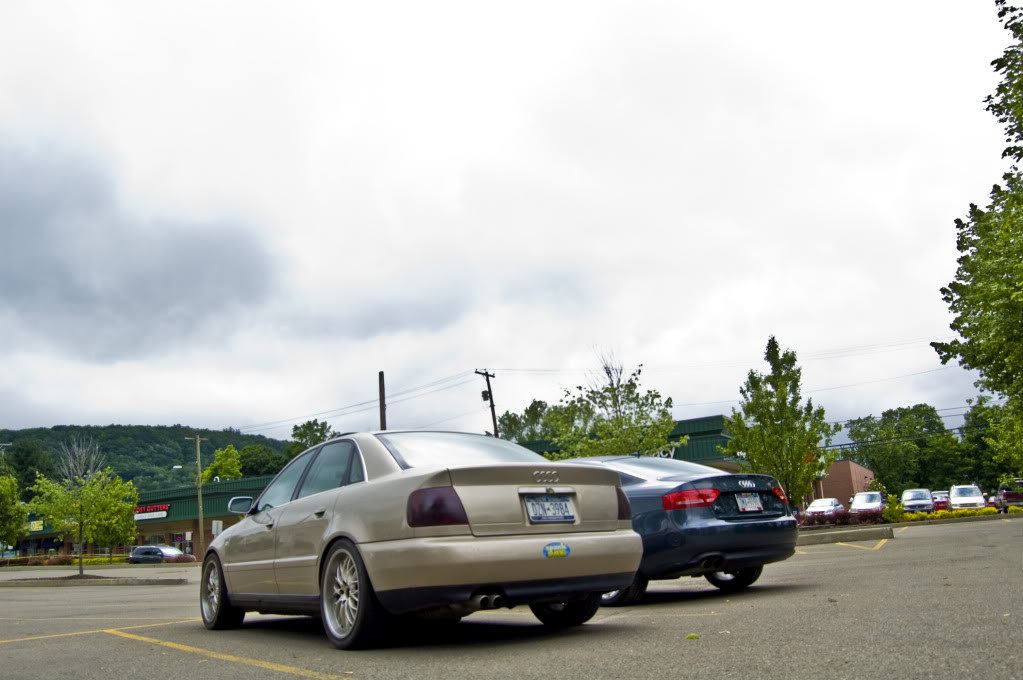 Name:  DSC_0050.jpg
Views: 43
Size:  96.5 KB