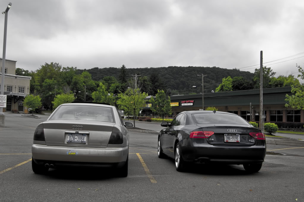 Name:  DSC_0051.jpg
Views: 42
Size:  113.7 KB