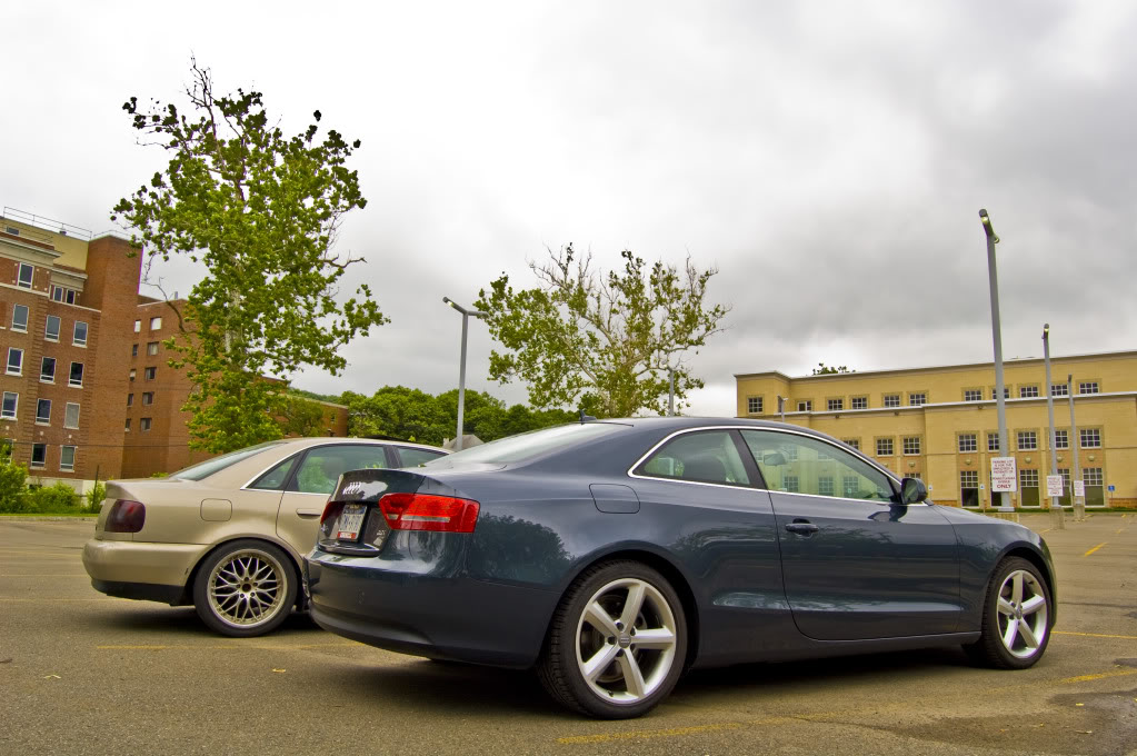 Name:  DSC_0052.jpg
Views: 41
Size:  152.5 KB