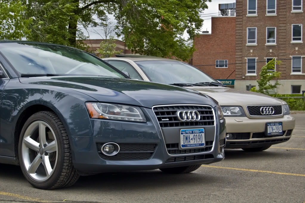 Name:  DSC_0053.jpg
Views: 41
Size:  176.7 KB