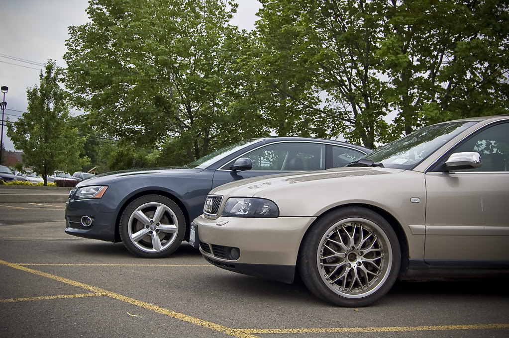 Name:  DSC_0056.jpg
Views: 41
Size:  235.4 KB