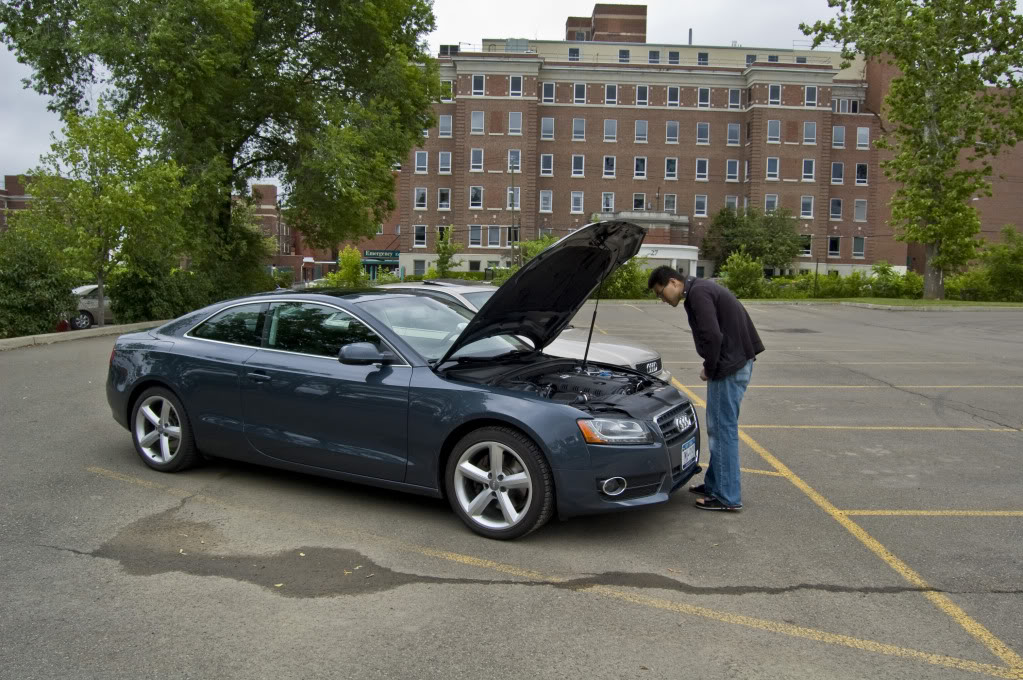 Name:  DSC_0062.jpg
Views: 40
Size:  185.7 KB