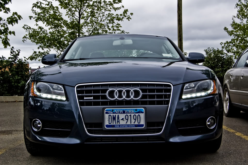 Name:  DSC_0064.jpg
Views: 36
Size:  169.2 KB