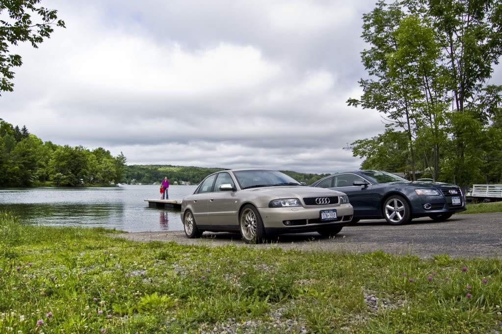 Name:  DSC_0069.jpg
Views: 49
Size:  210.9 KB