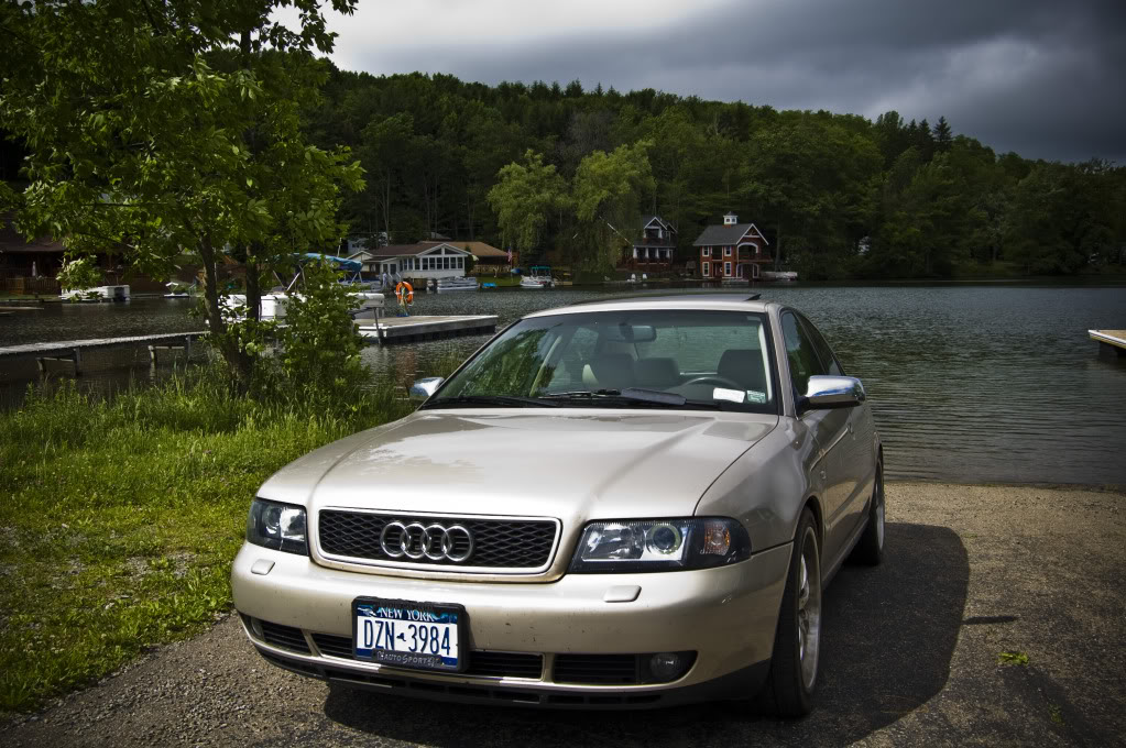 Name:  DSC_0073.jpg
Views: 40
Size:  175.1 KB