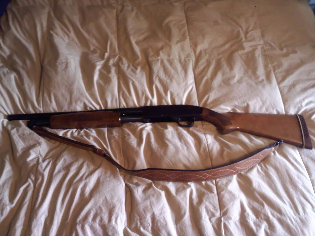 Name:  0811091414.jpg
Views: 125
Size:  116.0 KB