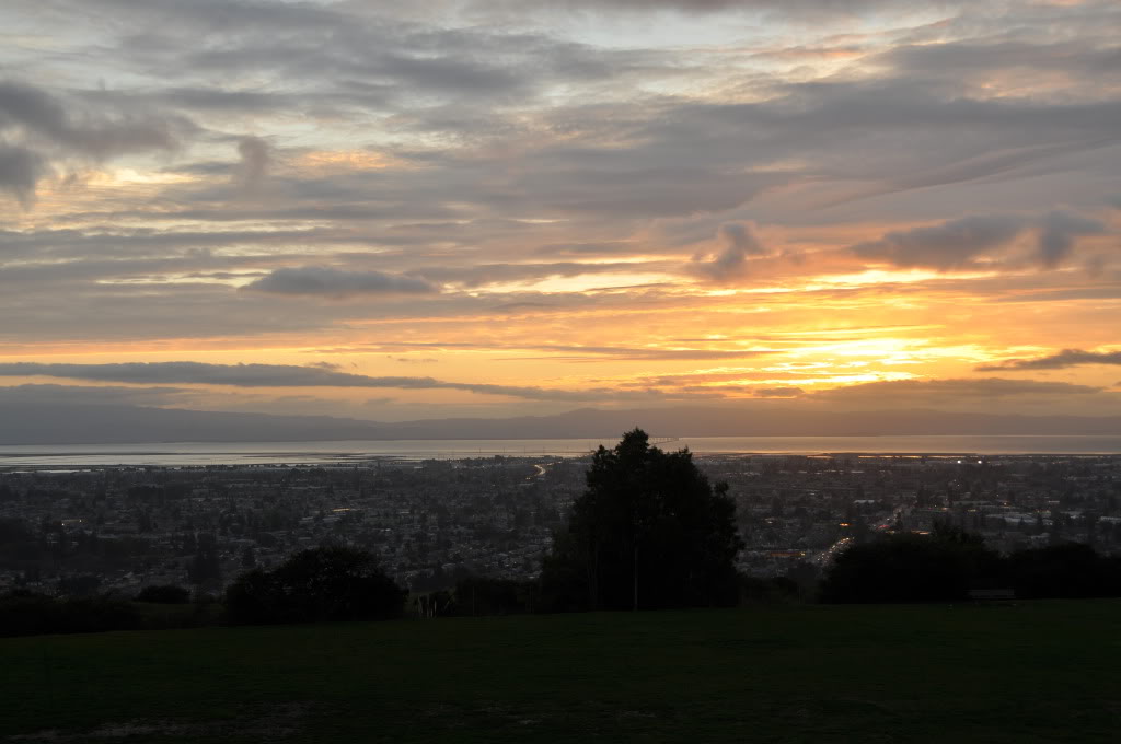 Name:  DSC_0046-1.jpg
Views: 18
Size:  99.3 KB