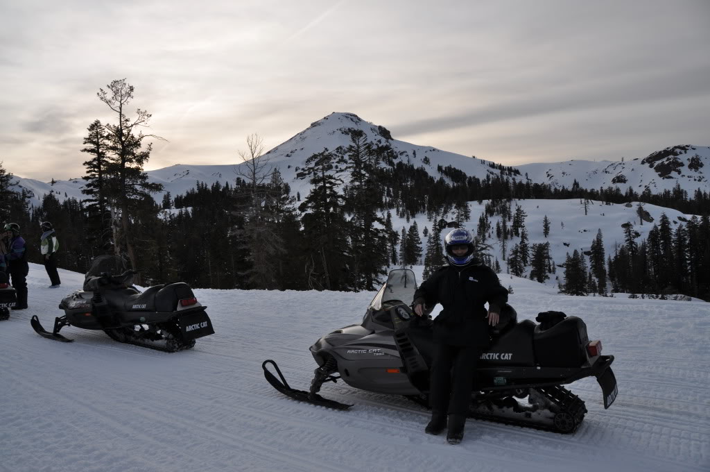 Name:  DSC_0145-1.jpg
Views: 17
Size:  145.7 KB