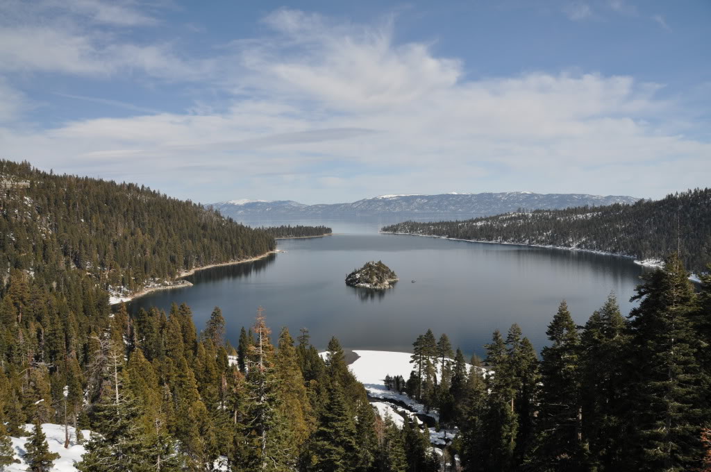 Name:  DSC_0156-1.jpg
Views: 17
Size:  168.4 KB