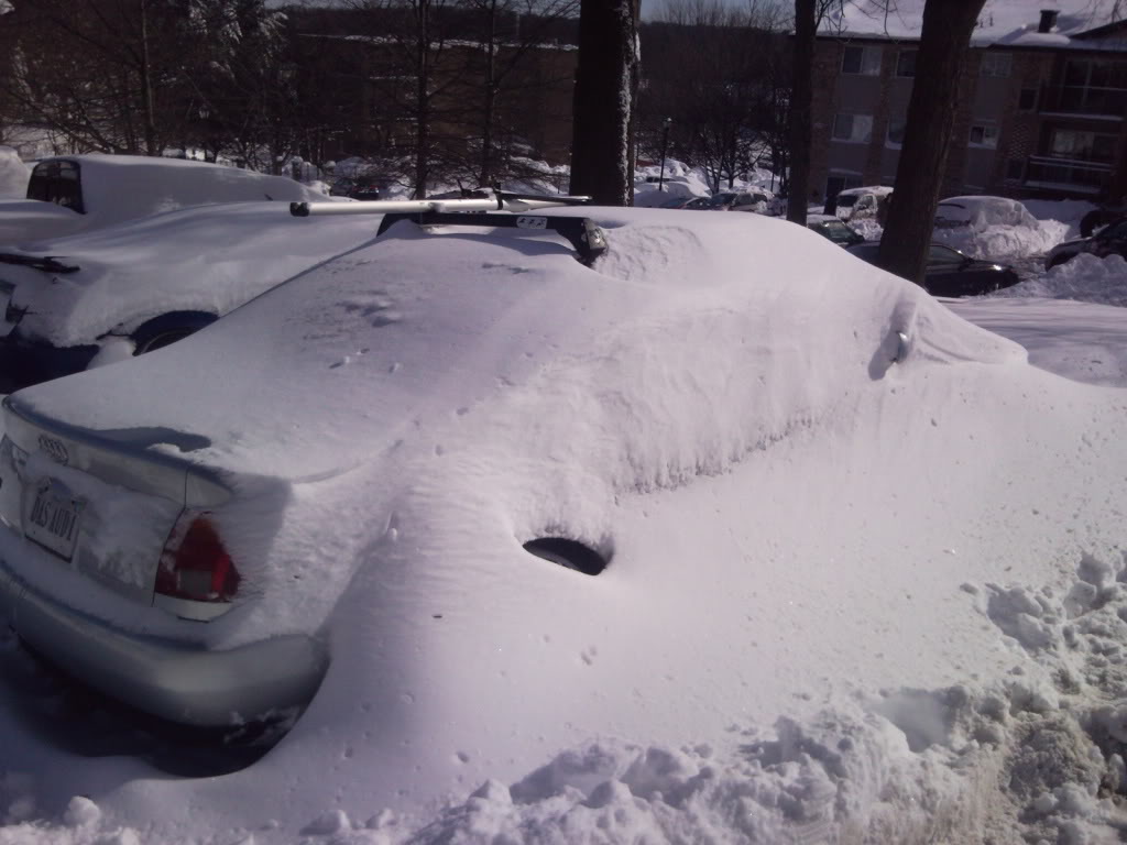 Name:  SNC00263.jpg
Views: 24
Size:  98.7 KB