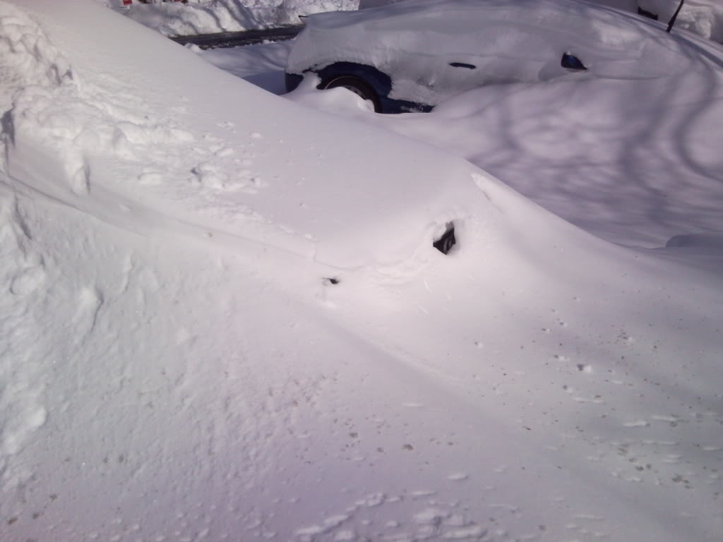 Name:  SNC00265.jpg
Views: 23
Size:  60.7 KB