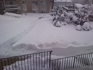 Name:  SNC00262.jpg
Views: 346
Size:  28.7 KB