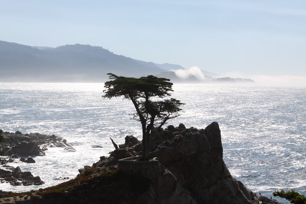 Name:  IMG_1453.jpg
Views: 60
Size:  140.2 KB