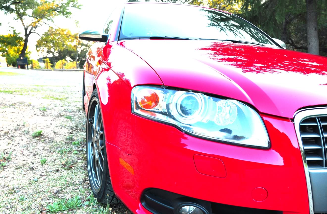 Name:  _DSC_0033.jpg
Views: 34
Size:  265.1 KB