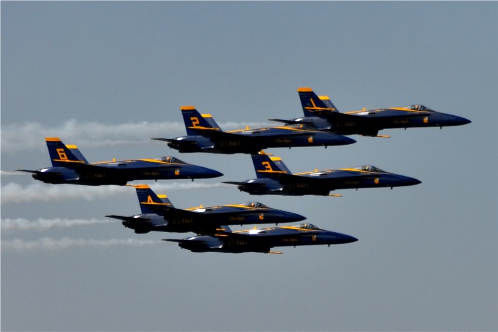 Name:  DSC_0032A-1.jpg
Views: 66
Size:  73.9 KB